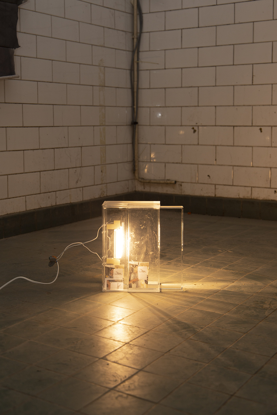 a light box instalation, Hélène Yamba-Guimbi